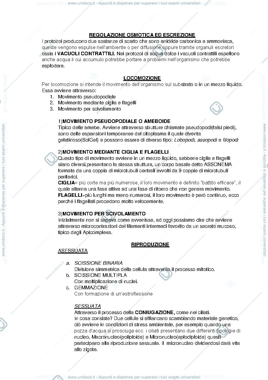 Anteprima pagina 2 — riassunti