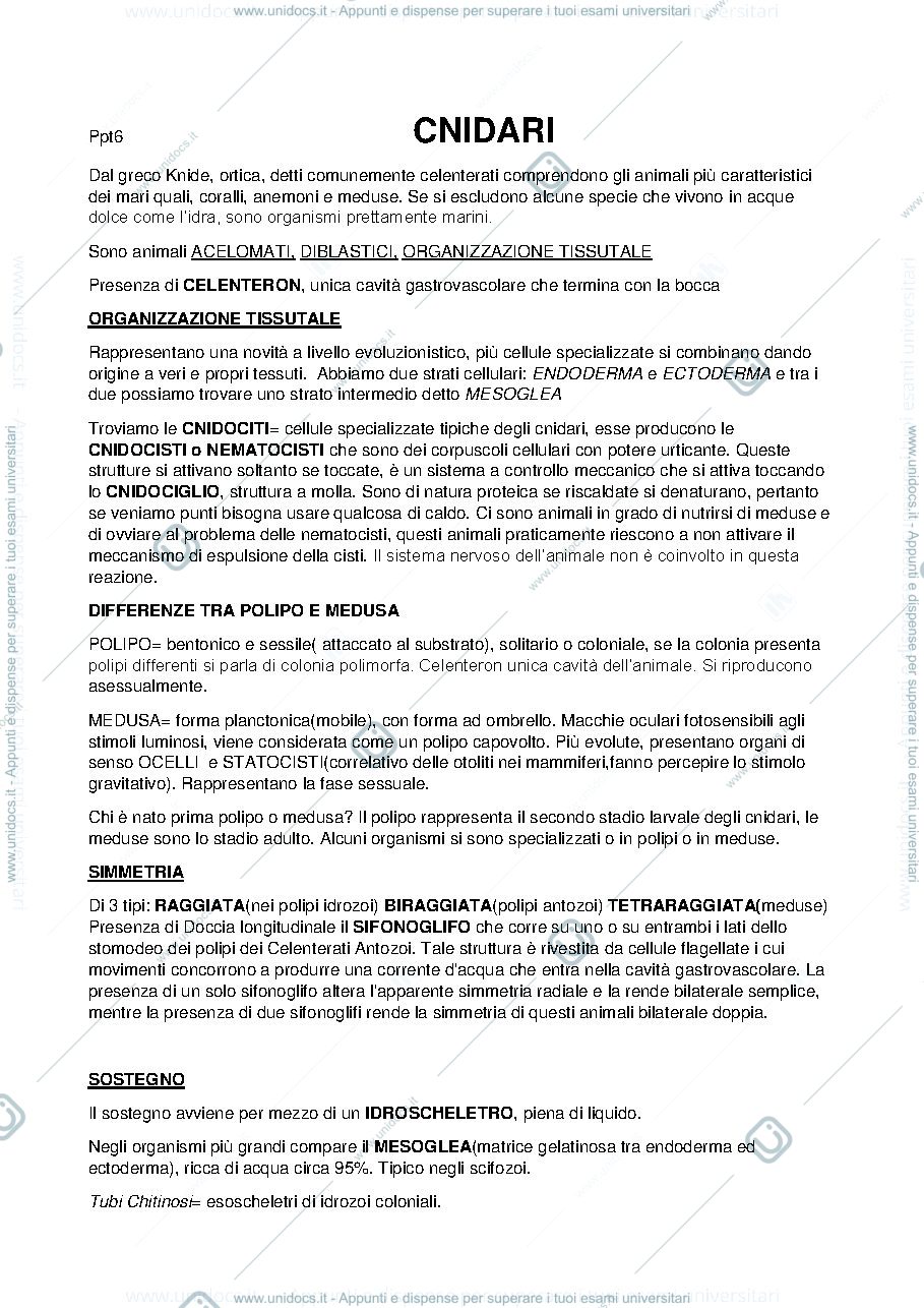 Anteprima pagina 1 — cnidari