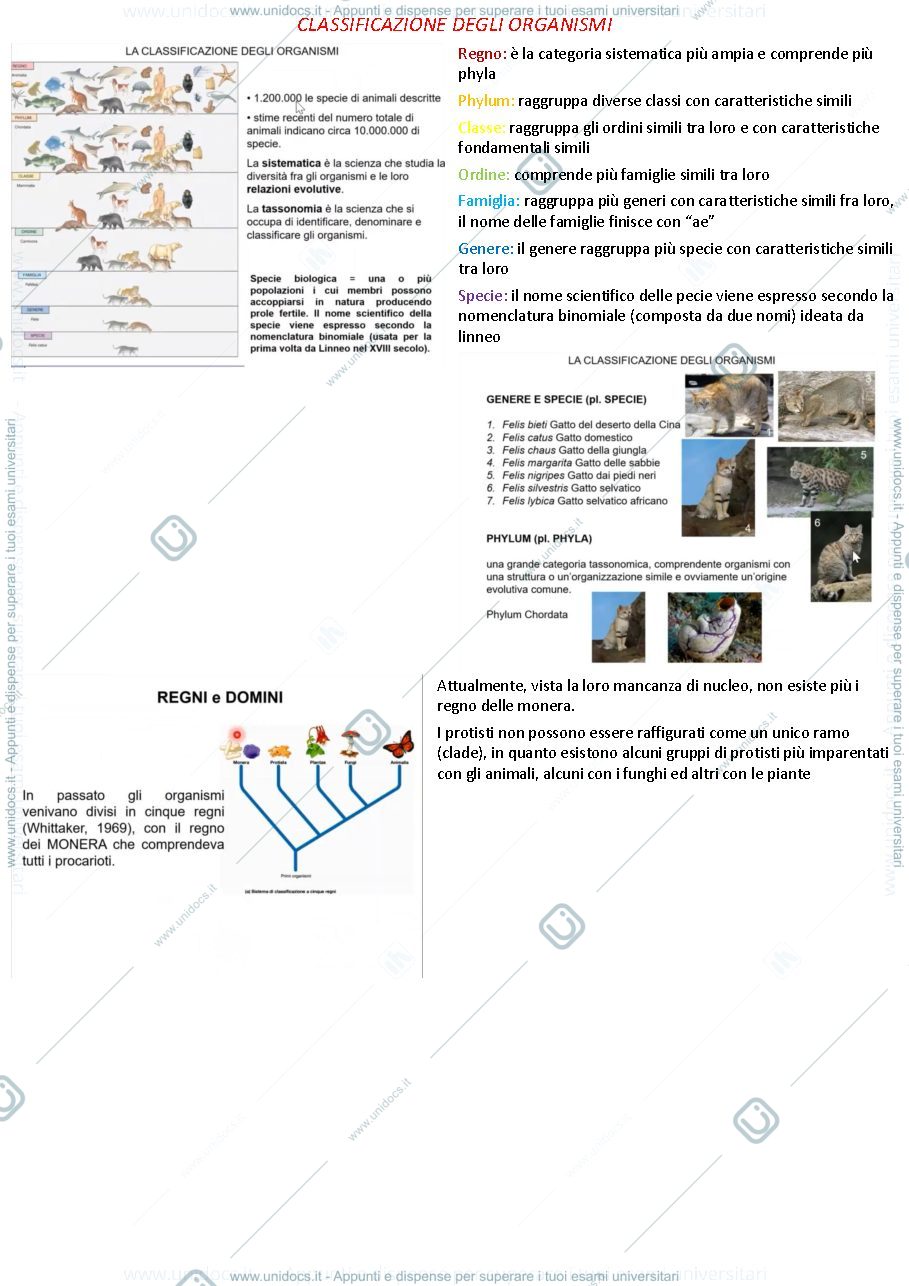 Anteprima pagina 1 — zoologia generale
