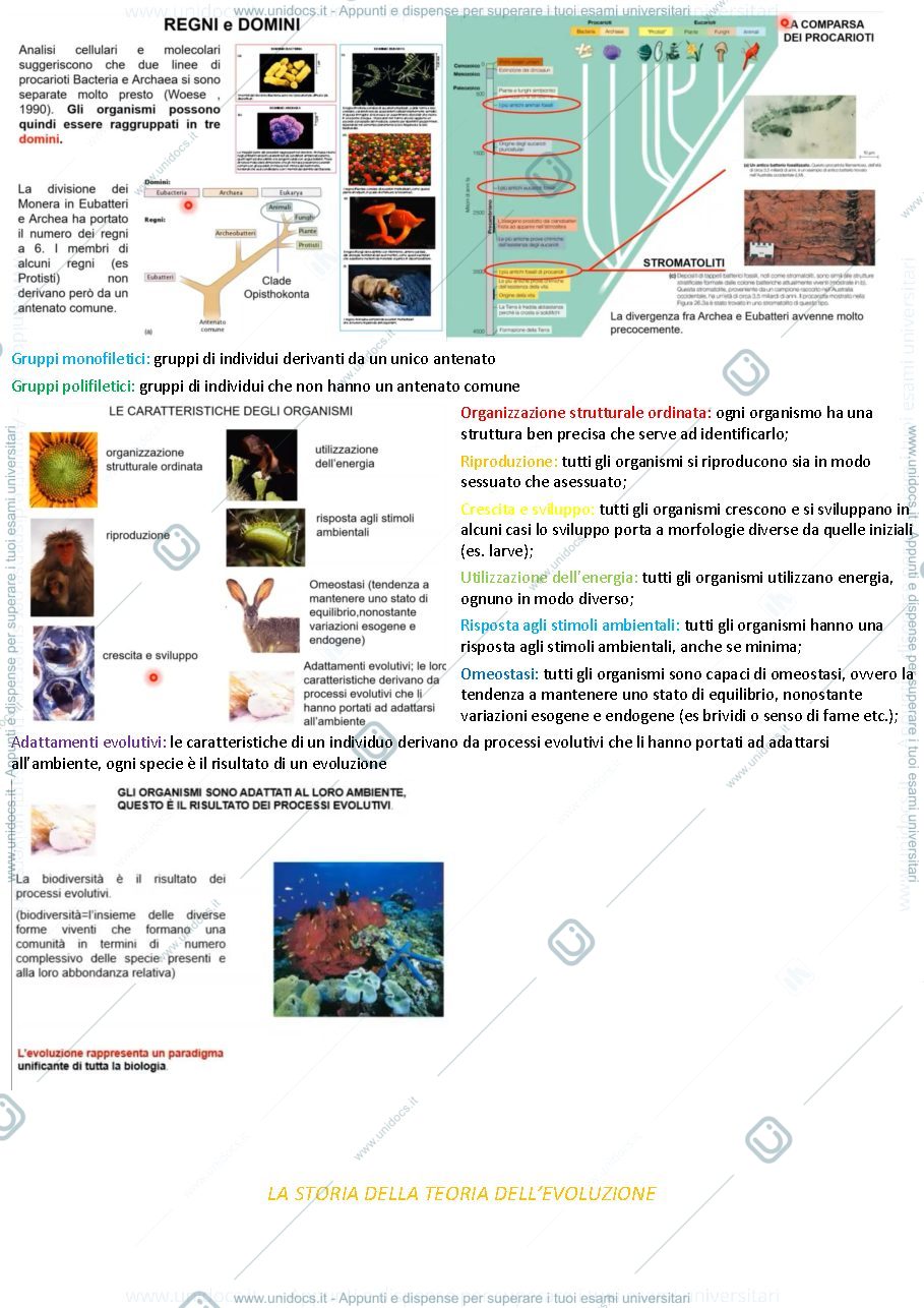 Anteprima pagina 2 — zoologia generale