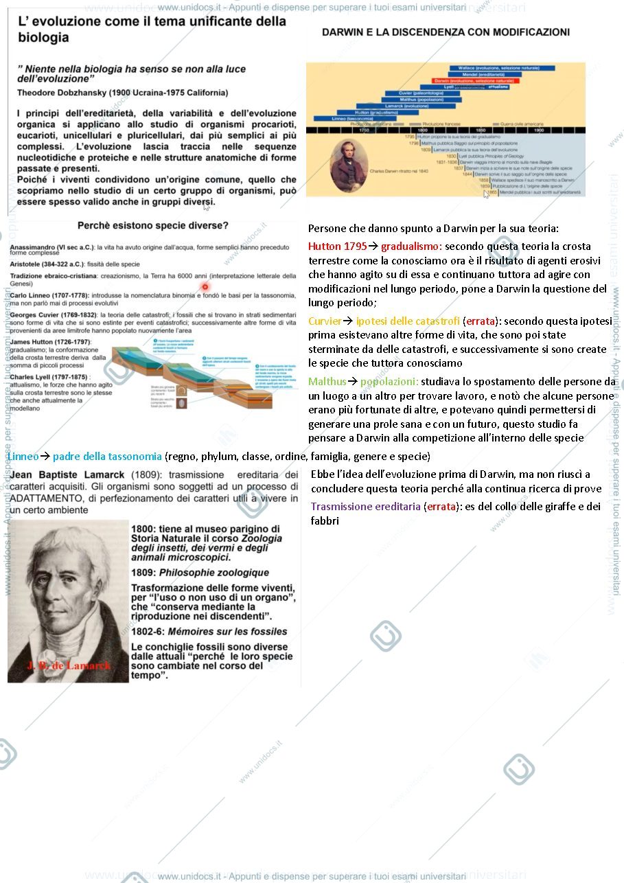 Anteprima pagina 3 — zoologia generale