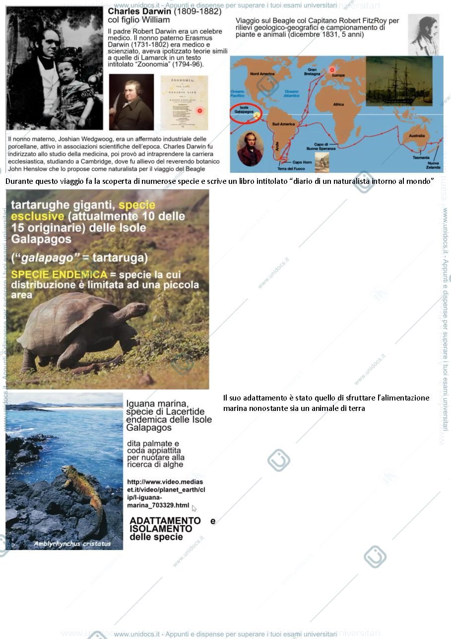 Anteprima pagina 4 — zoologia generale