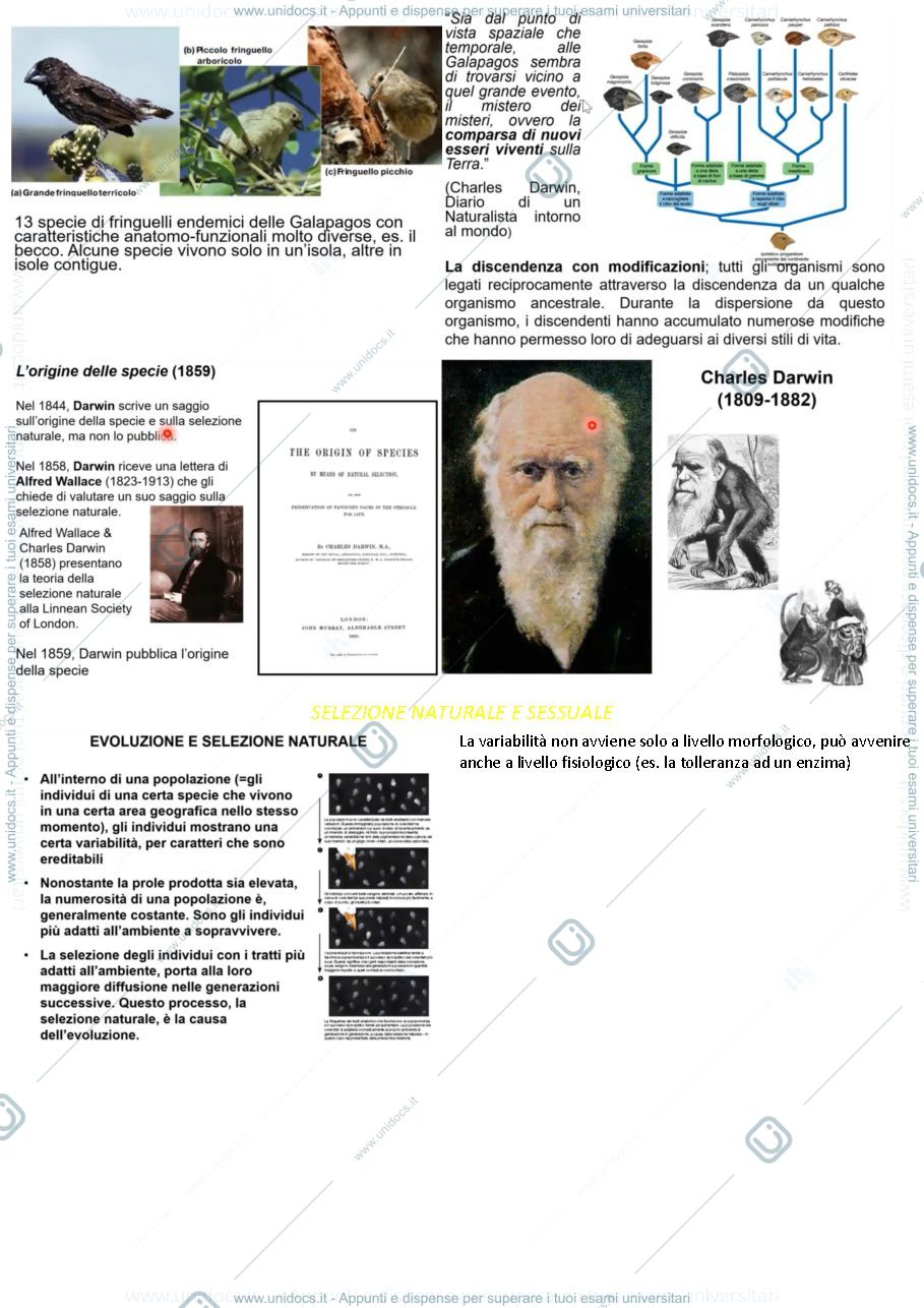 Anteprima pagina 5 — zoologia generale