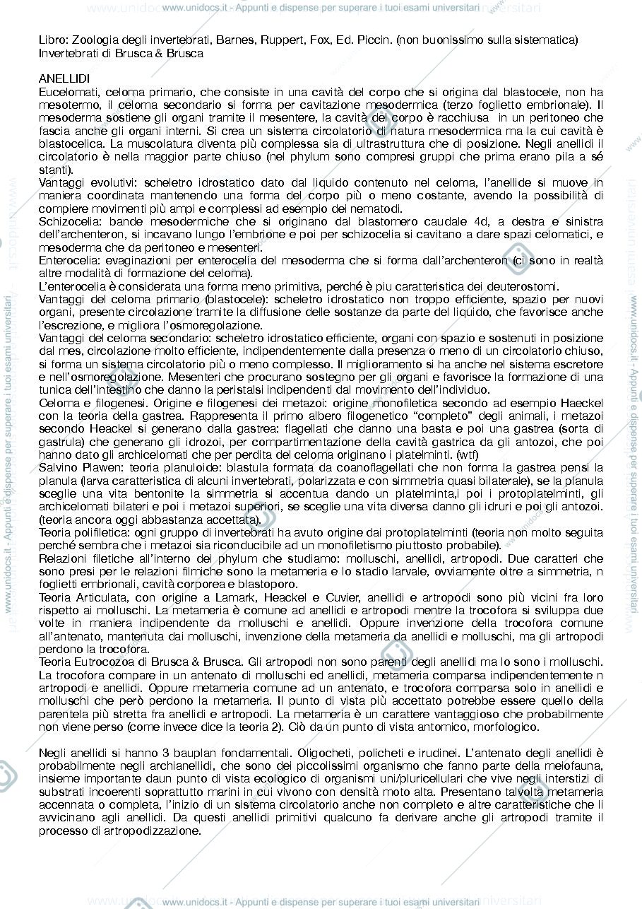 Anteprima pagina 1 — zoologia II - Ugolini - appunti