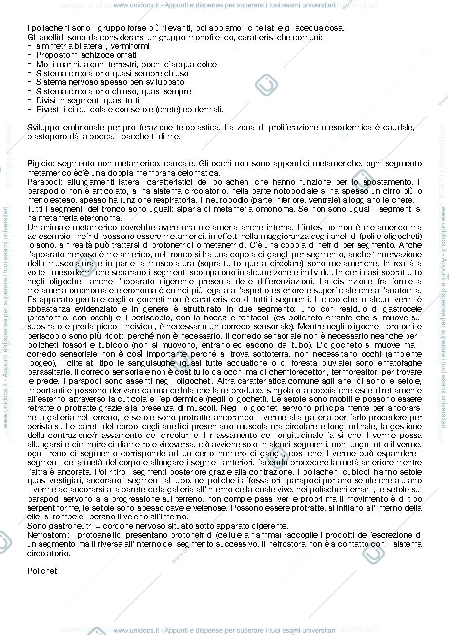 Anteprima pagina 2 — zoologia II - Ugolini - appunti