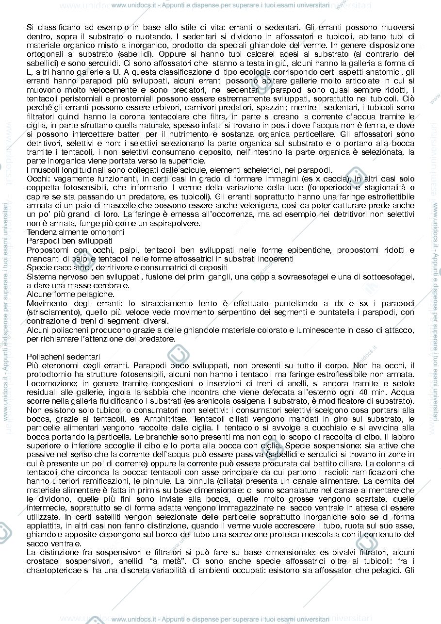 Anteprima pagina 3 — zoologia II - Ugolini - appunti