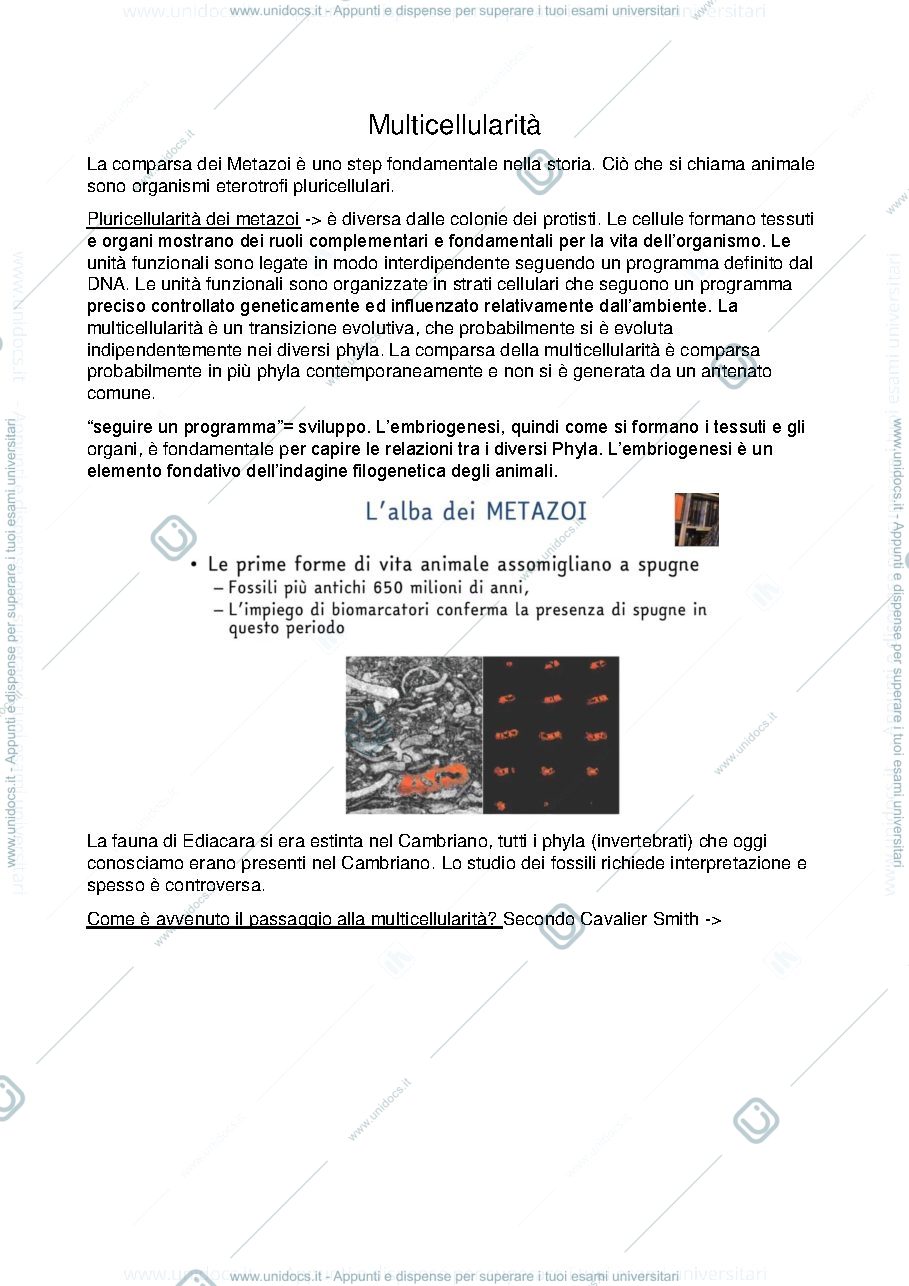Anteprima pagina 1 — Appunti zoologia sistematica