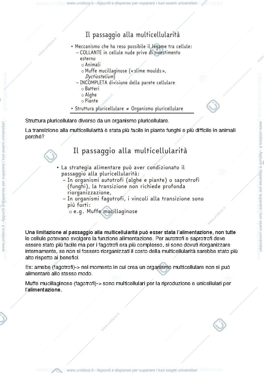 Anteprima pagina 2 — Appunti zoologia sistematica