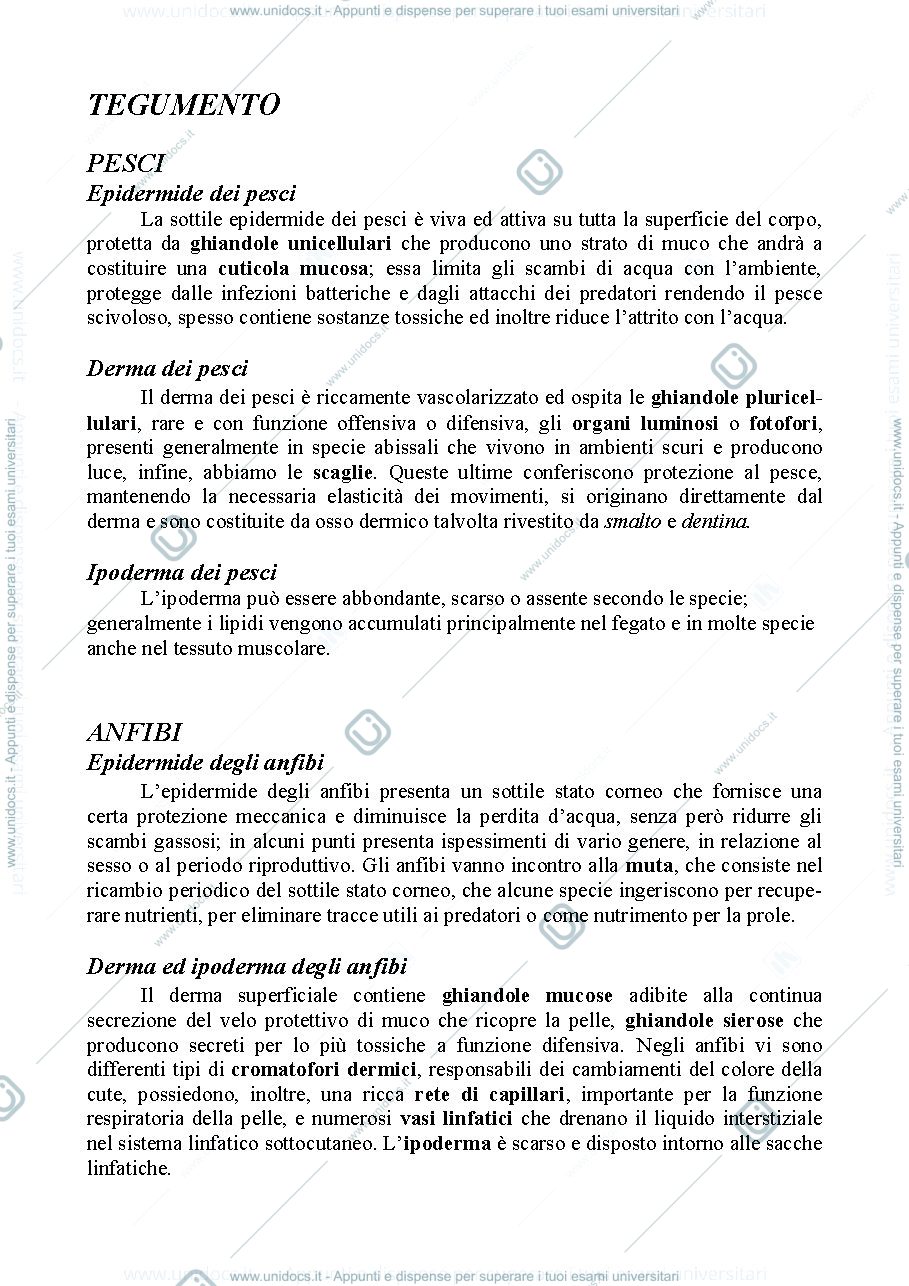 Anteprima pagina 1 — Tegumento