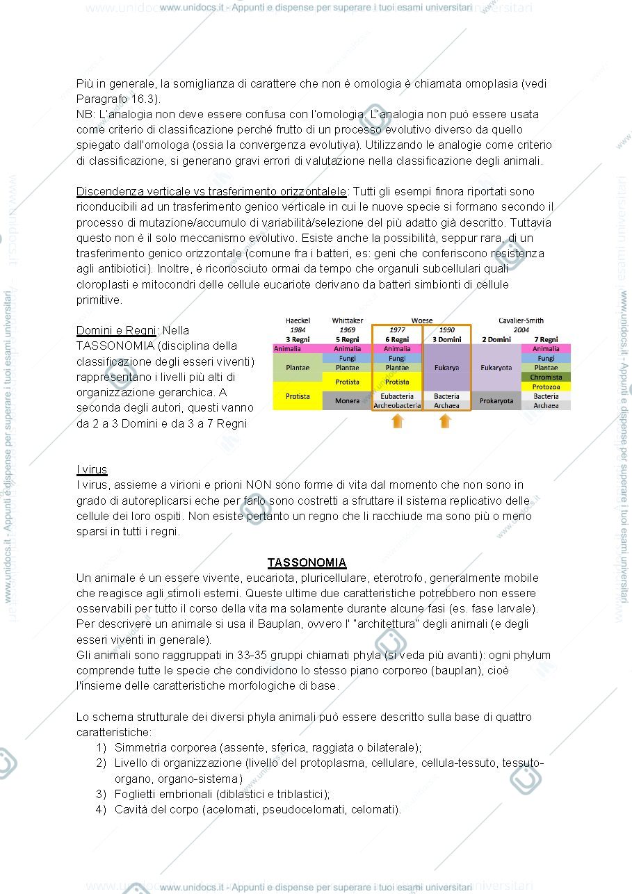 Anteprima pagina 4 — Zoologia