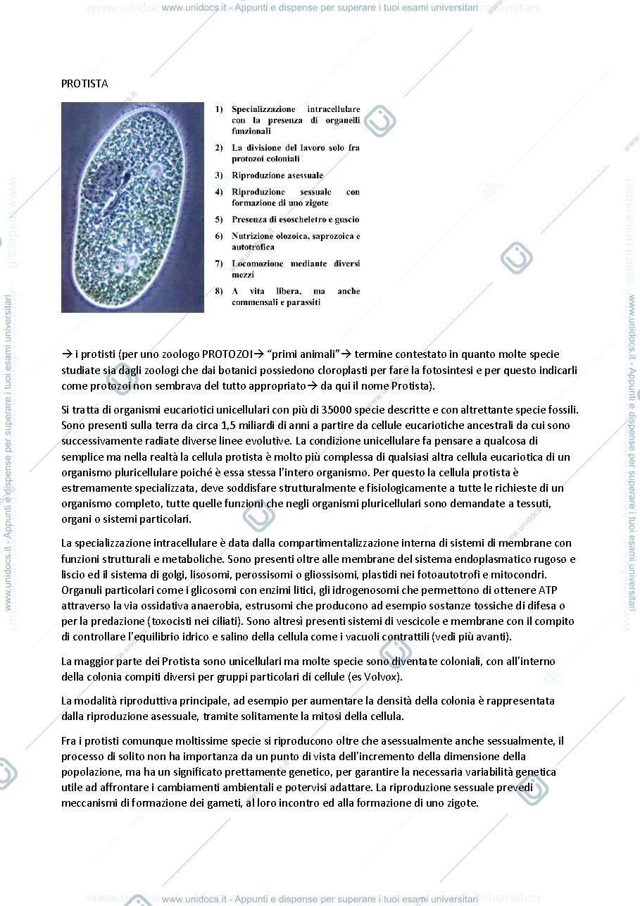 Anteprima pagina 1 — Protisti