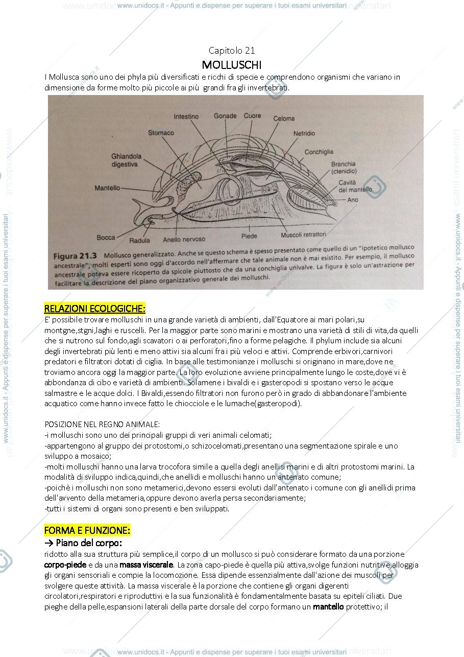 Anteprima pagina 1 — Riassunti Capitoli 21-22-23-24-25-26-27 del libro Fondamenti di Zoologia utilizzato dal Prof.Luschi