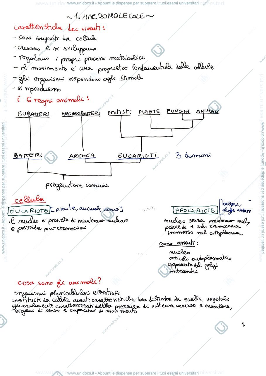 Anteprima pagina 1 — macromolecole