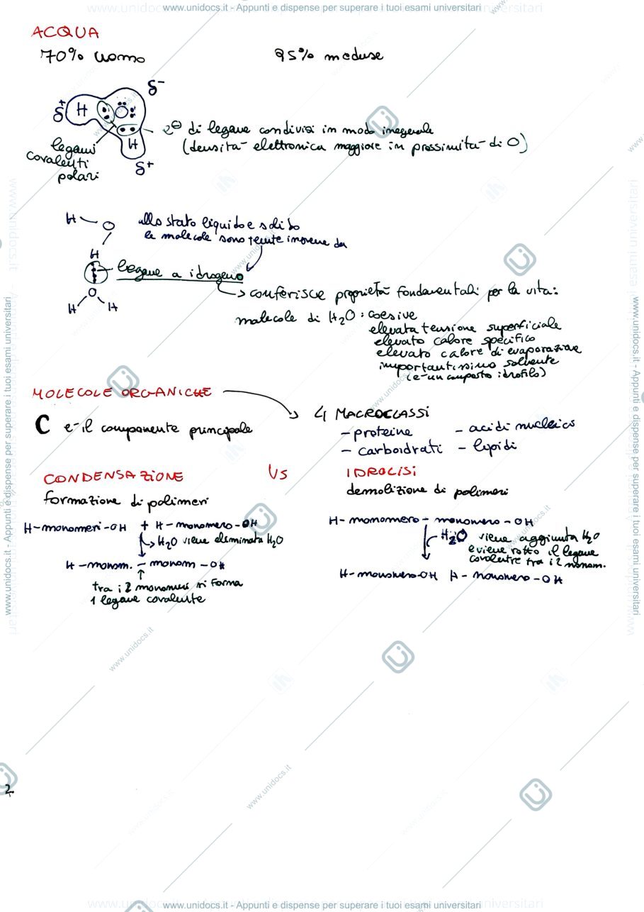 Anteprima pagina 2 — macromolecole