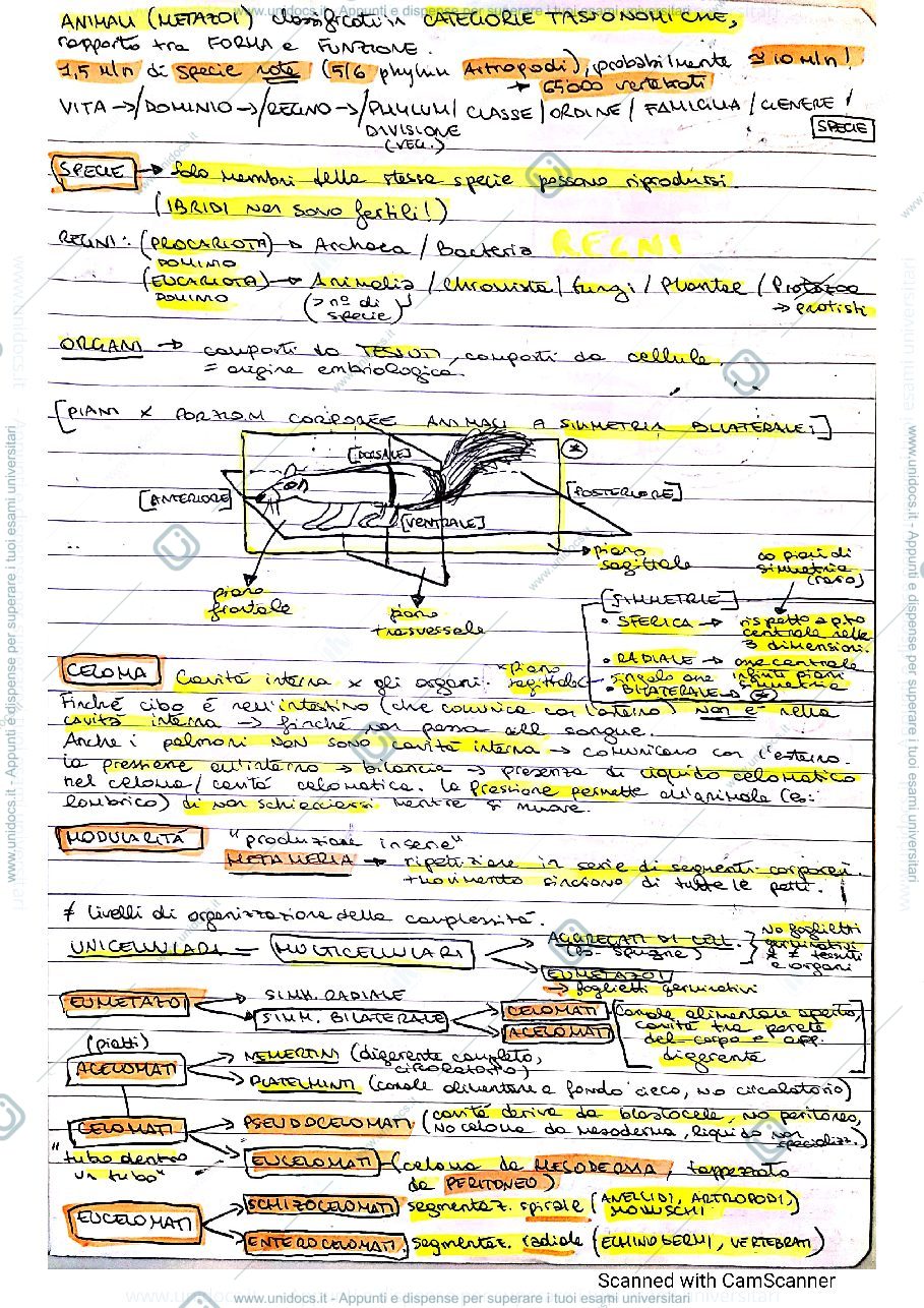 Anteprima pagina 1 — Appunti completi Zoologia Generale