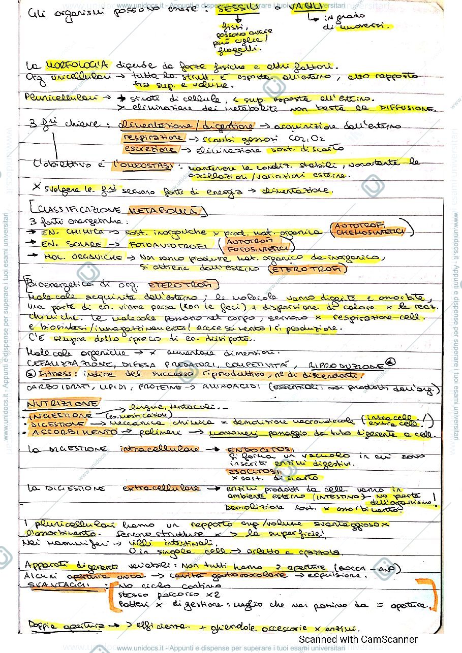 Anteprima pagina 3 — Appunti completi Zoologia Generale