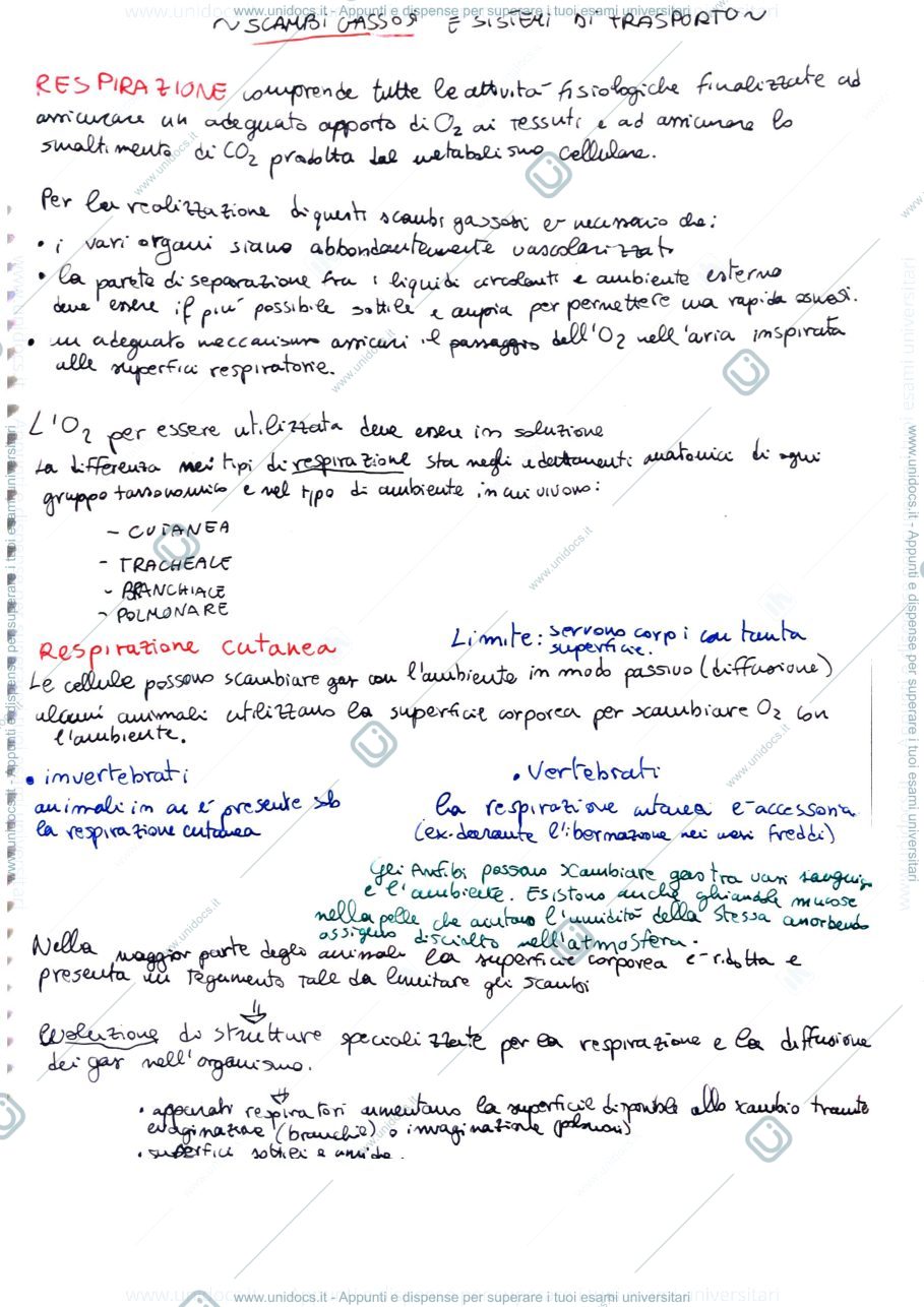 Anteprima pagina 1 — scambi gassosi e sistemi di trasporto