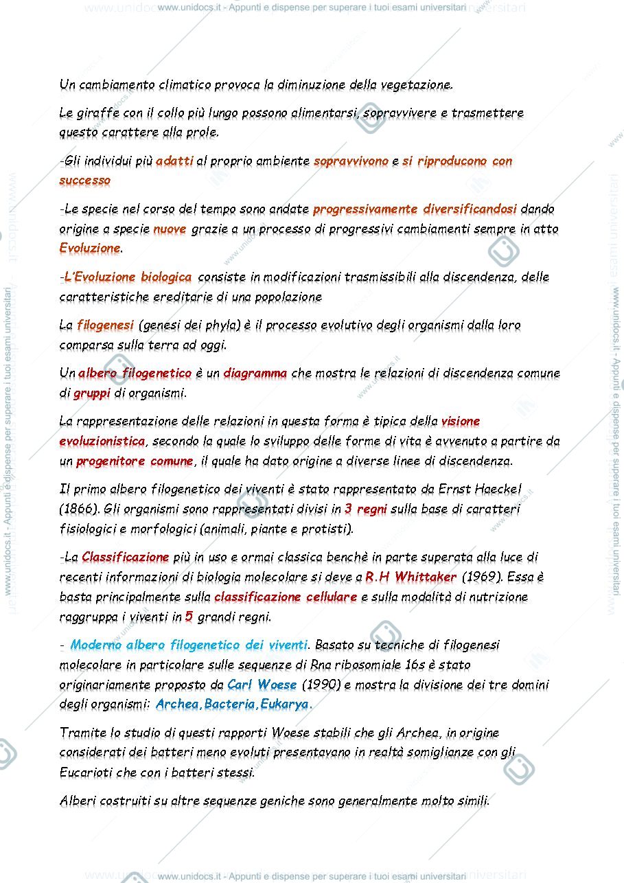 Anteprima pagina 4 — Zoologia generale