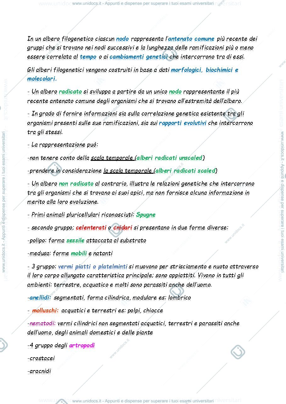 Anteprima pagina 5 — Zoologia generale