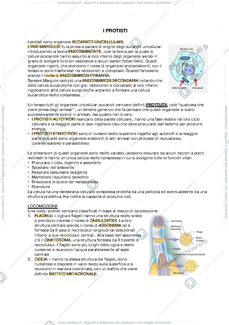 Anteprima pagina 2 — APPUNTI ZOOLOGIA SISTEMATICA