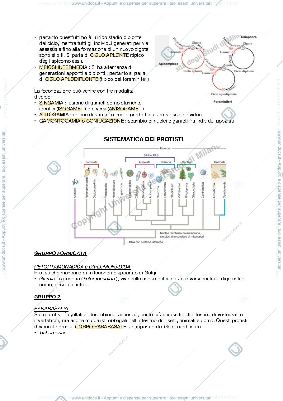 Anteprima pagina 4 — APPUNTI ZOOLOGIA SISTEMATICA