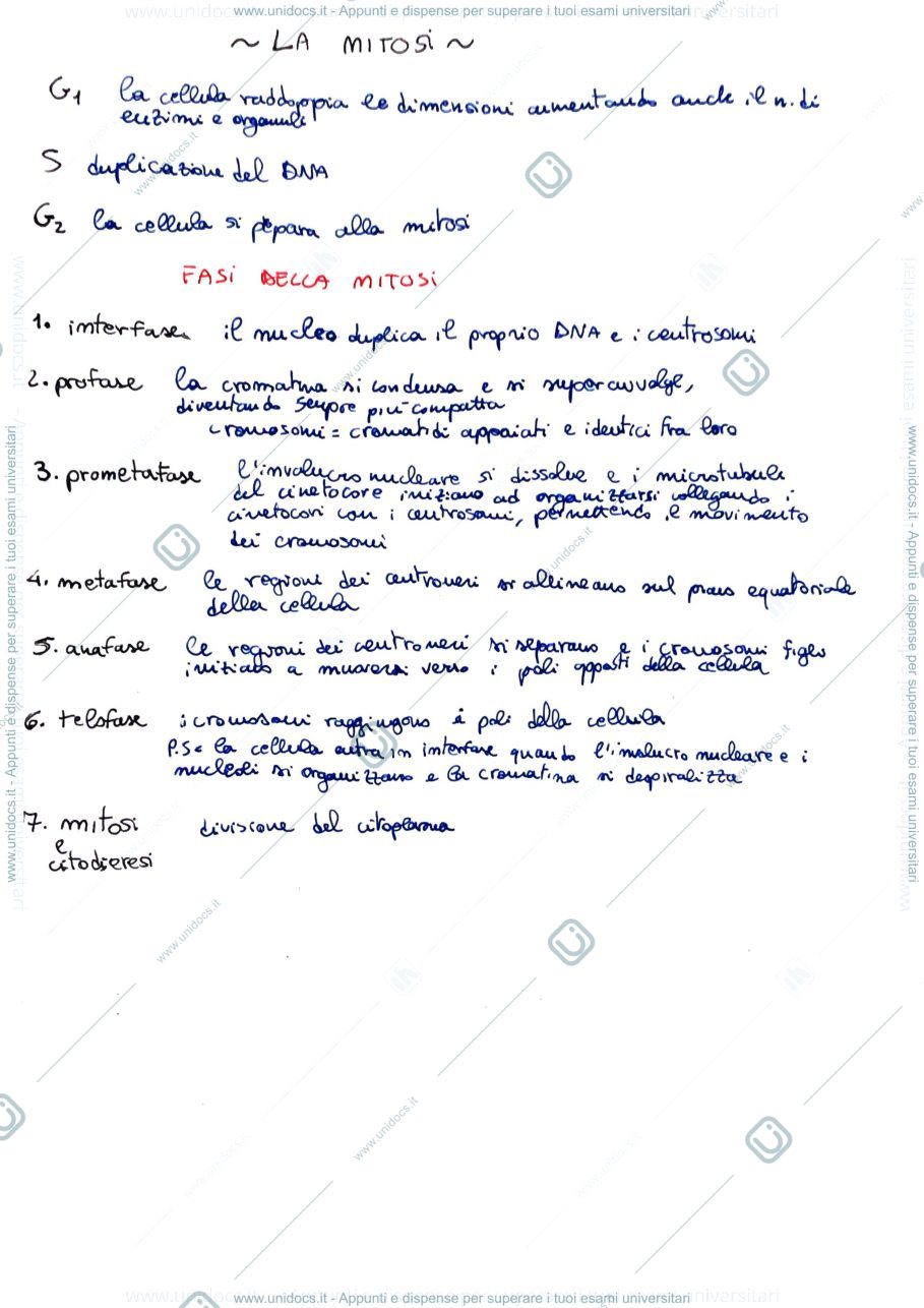 Anteprima pagina 1 — mitosi e meiosi