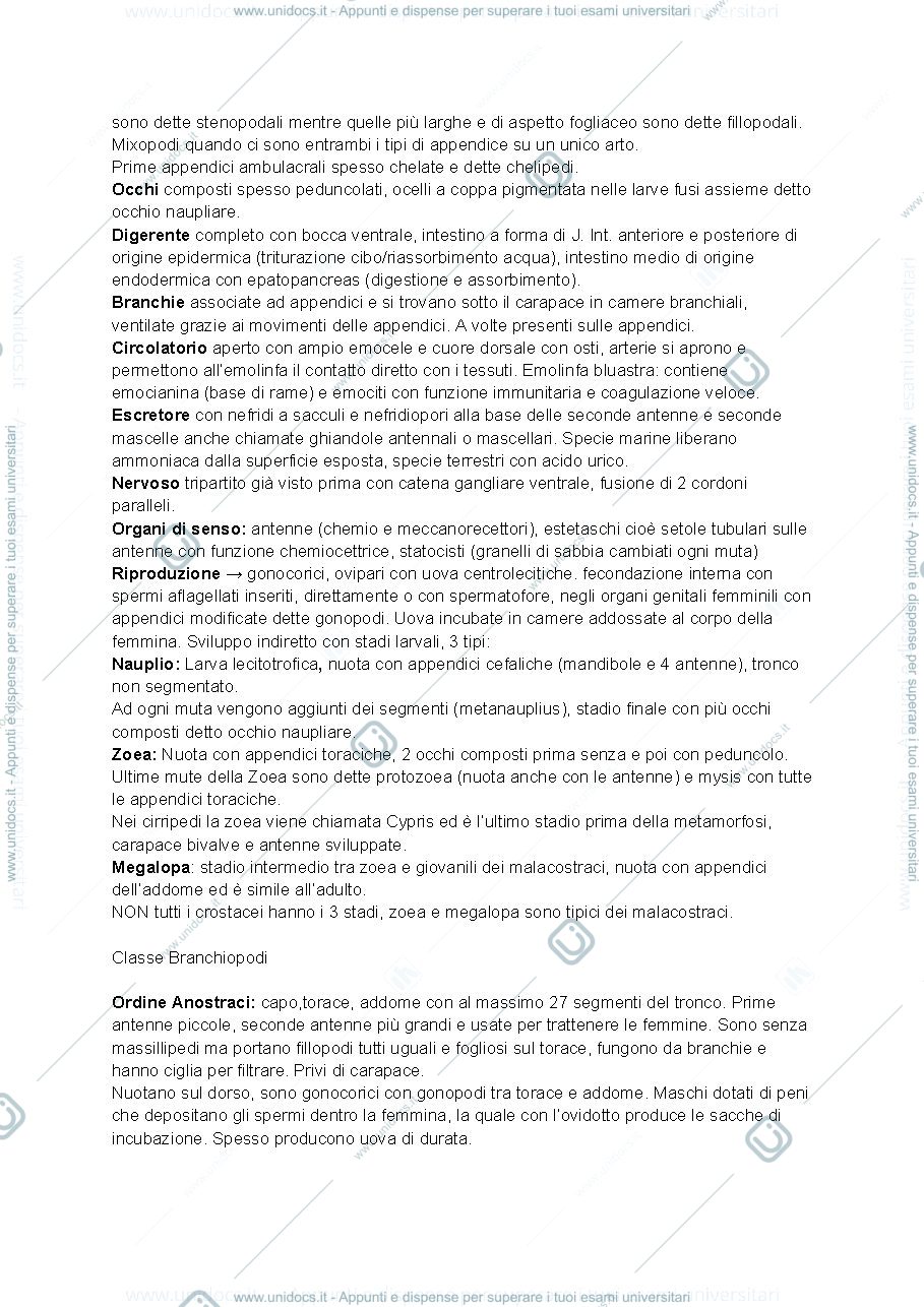 Anteprima pagina 2 — Appunti terzo parziale zoologia