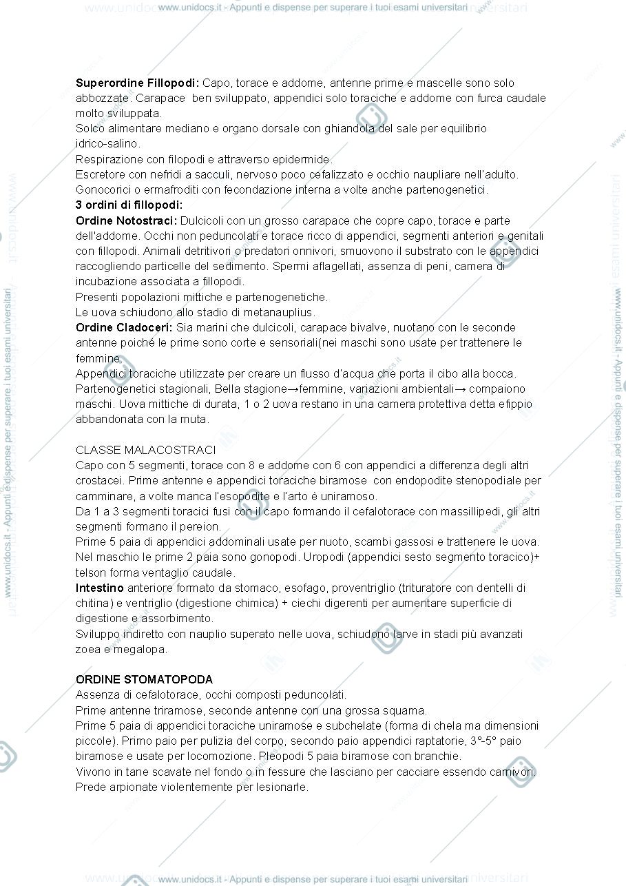 Anteprima pagina 3 — Appunti terzo parziale zoologia
