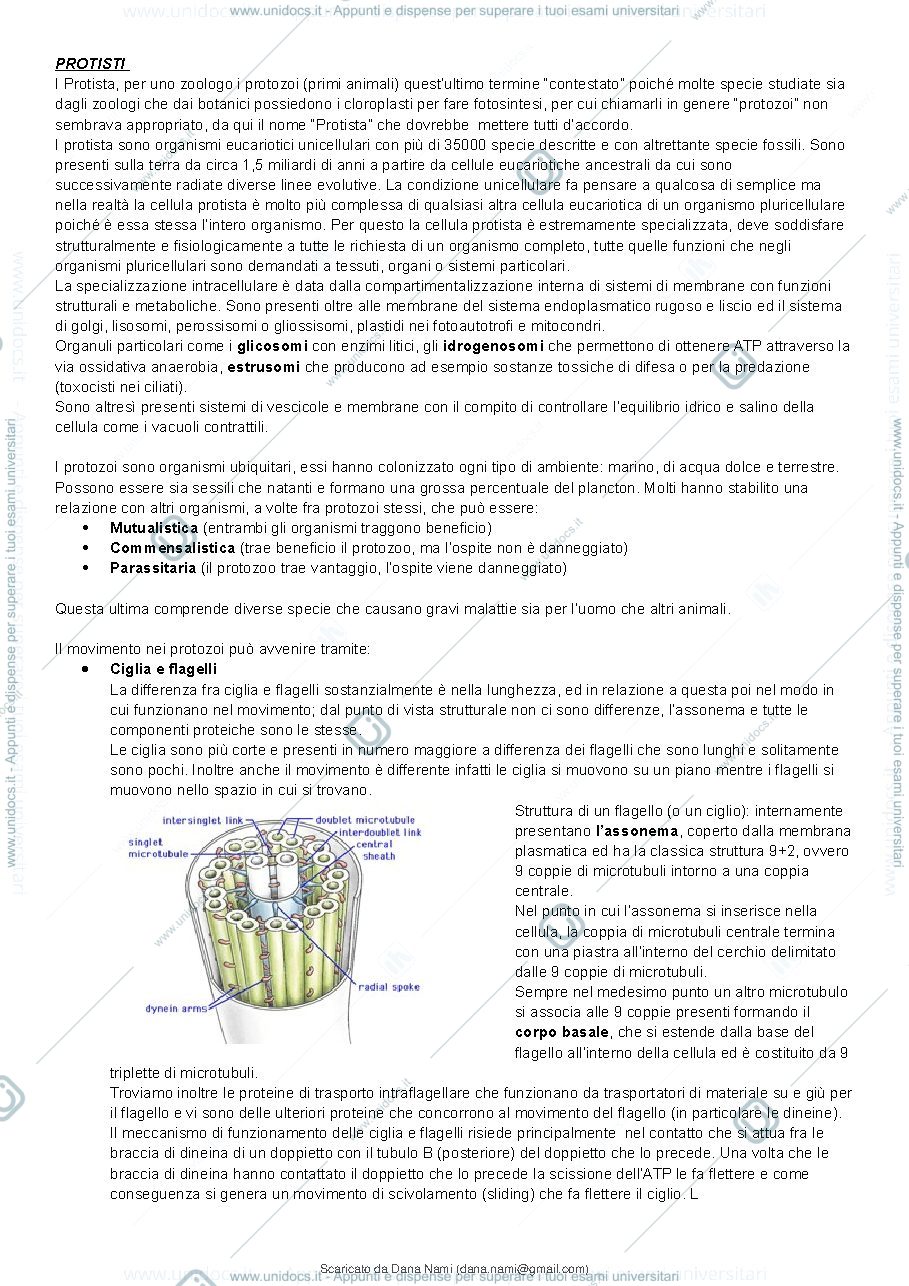 Anteprima pagina 2 — Appunti presi a lezione 