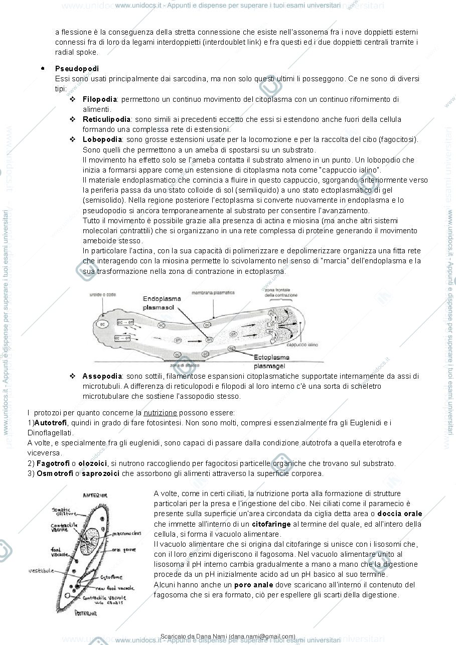 Anteprima pagina 3 — Appunti presi a lezione 