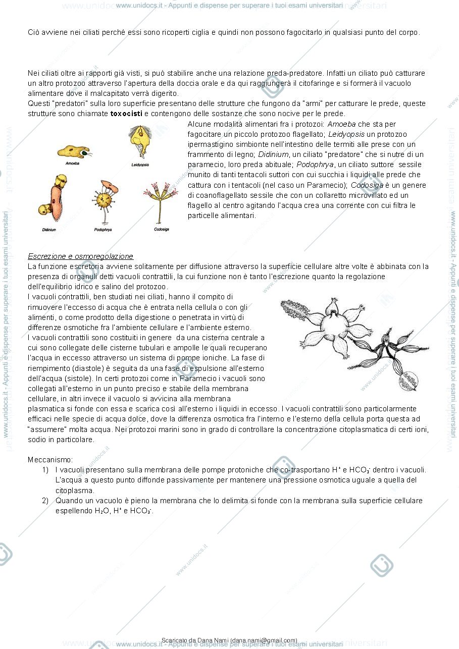Anteprima pagina 4 — Appunti presi a lezione 