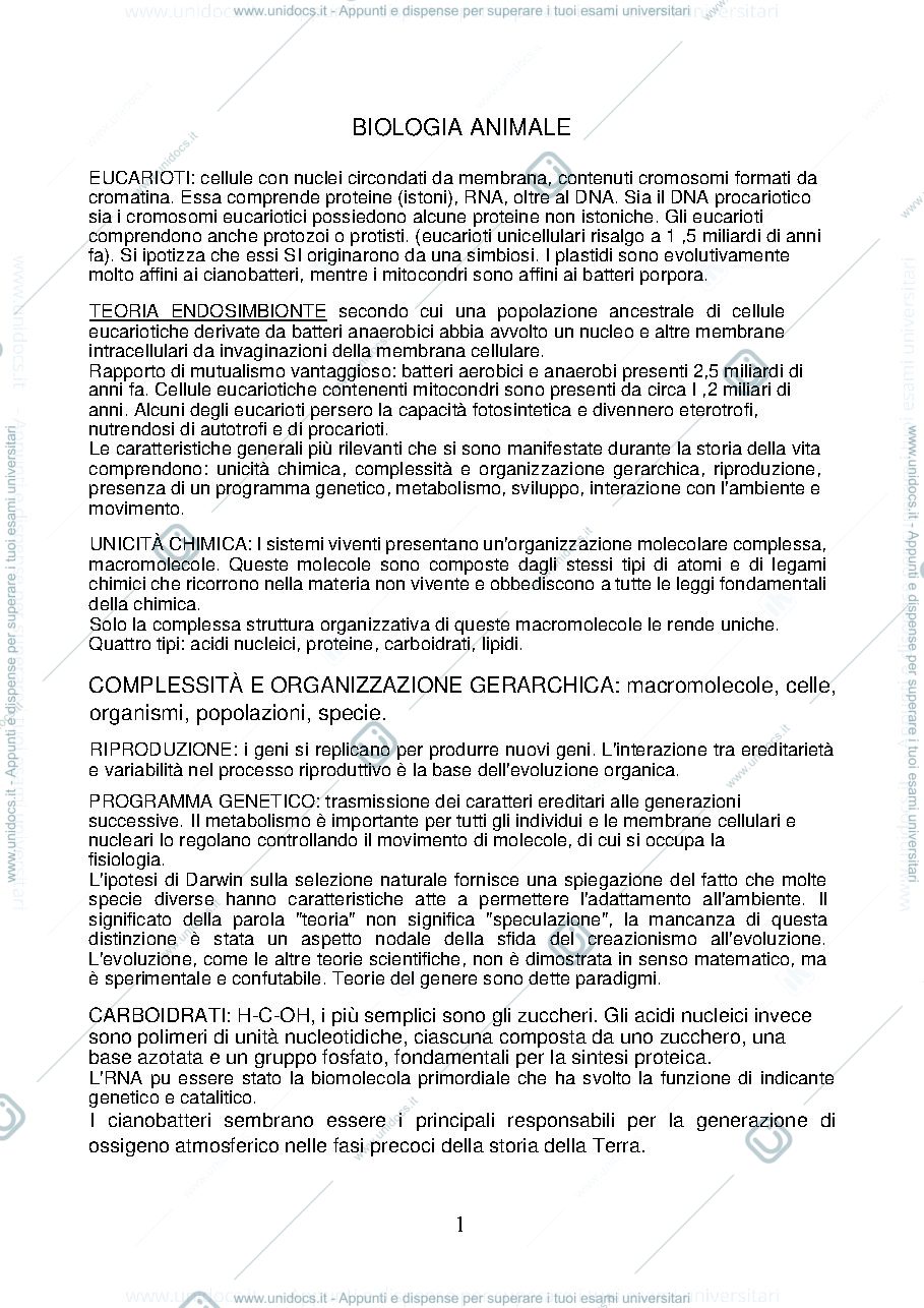 Anteprima pagina 1 — aggiuntivi