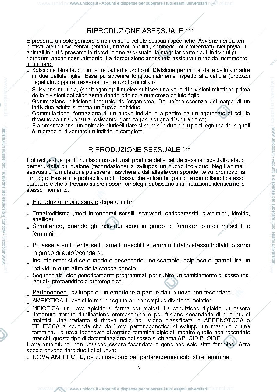 Anteprima pagina 2 — aggiuntivi