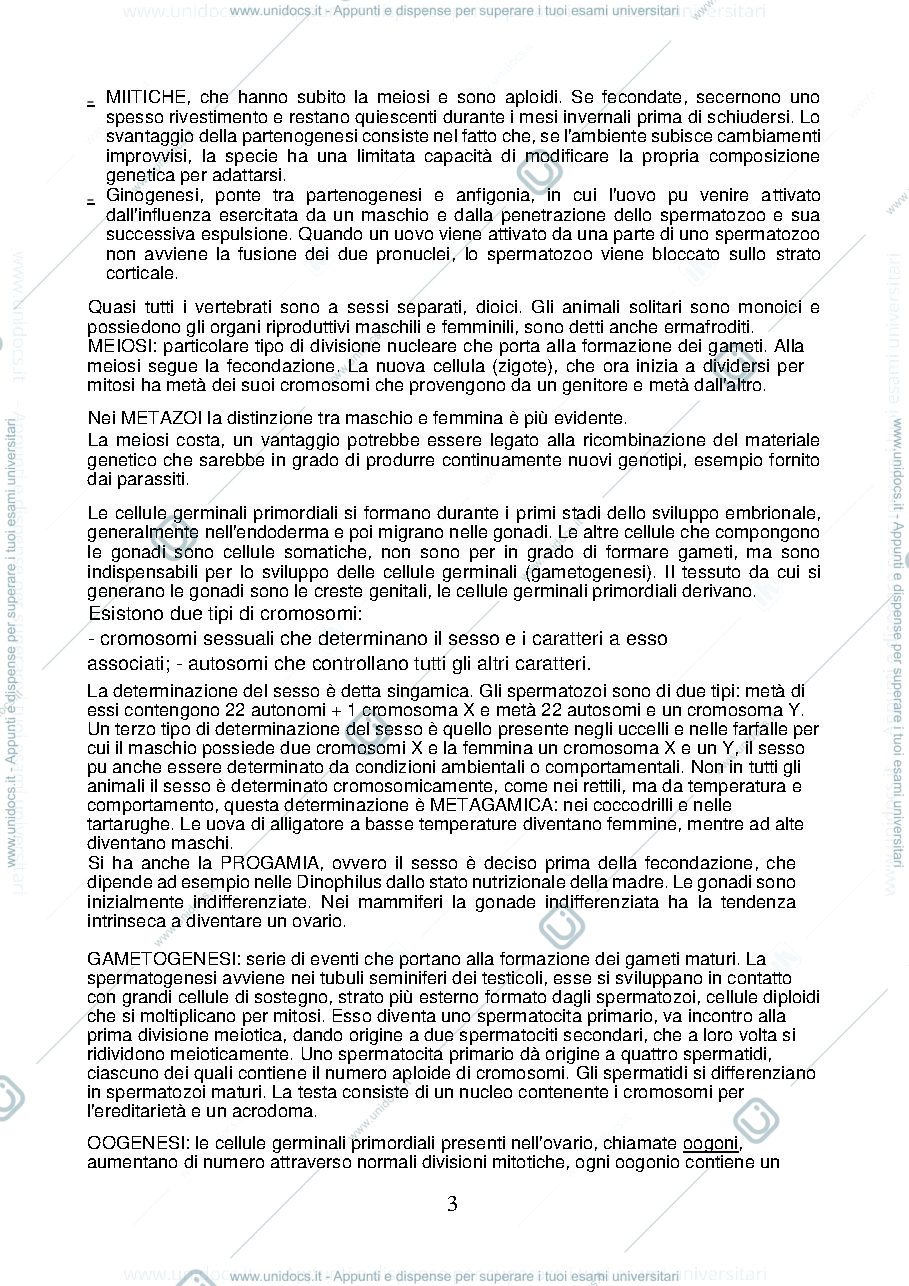 Anteprima pagina 3 — aggiuntivi