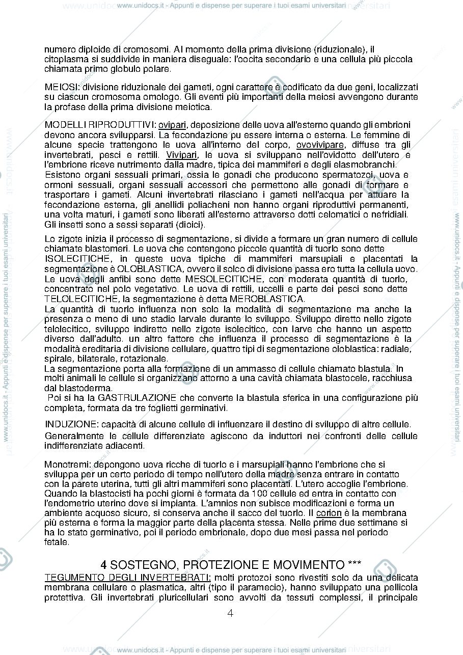 Anteprima pagina 4 — aggiuntivi