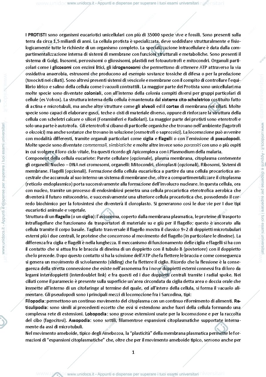 Anteprima pagina 1 — Appunti di zoologia 1