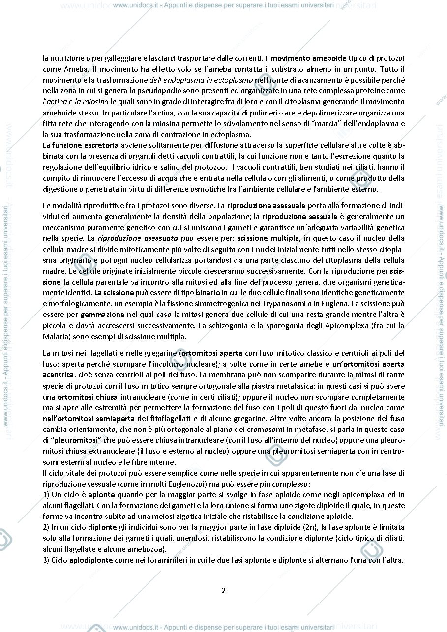Anteprima pagina 2 — Appunti di zoologia 1