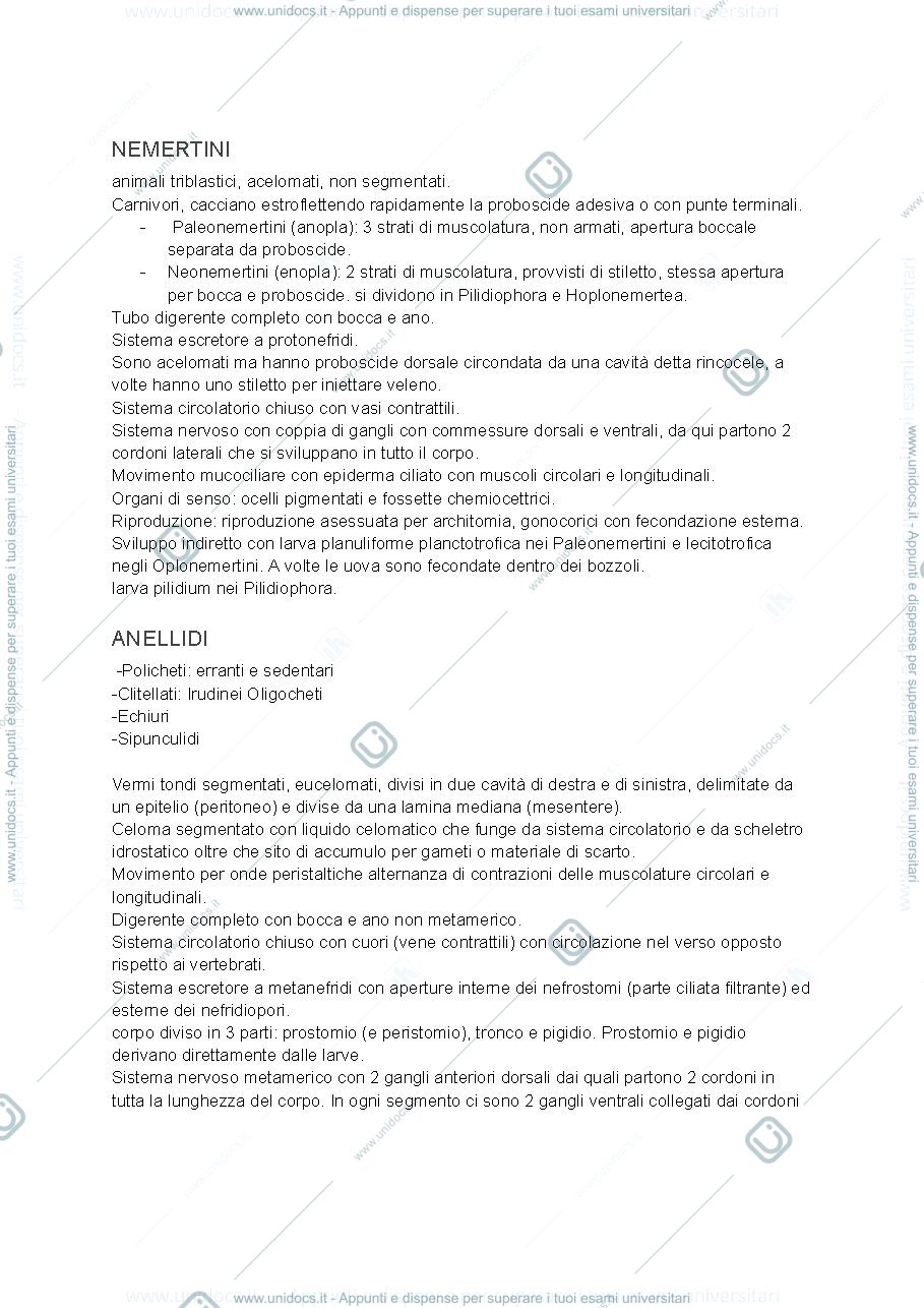 Anteprima pagina 1 — Appunti secondo parziale zoologia