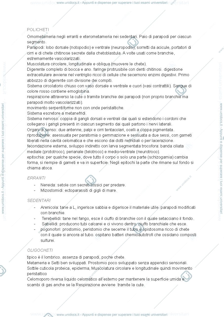 Anteprima pagina 2 — Appunti secondo parziale zoologia