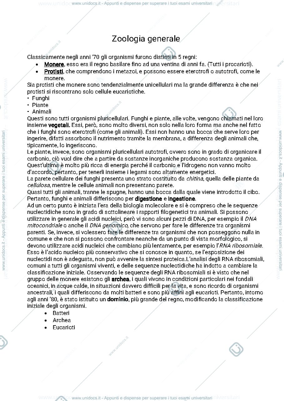 Anteprima pagina 1 — Aggiuntivi - appunti