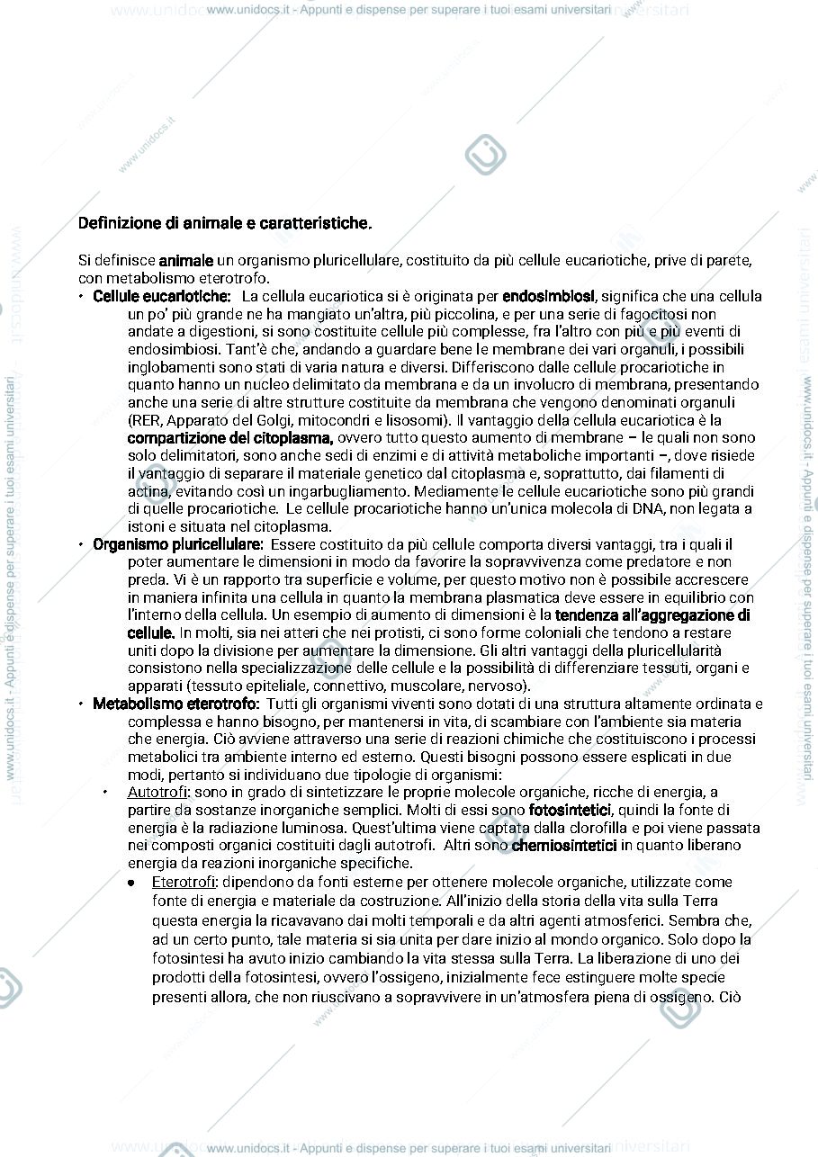 Anteprima pagina 2 — Aggiuntivi - appunti
