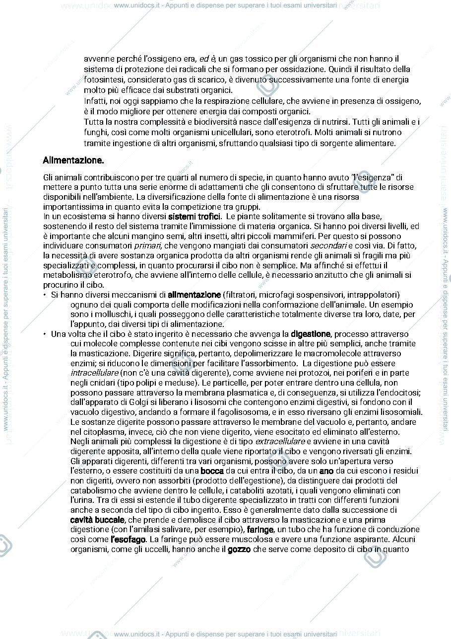 Anteprima pagina 3 — Aggiuntivi - appunti