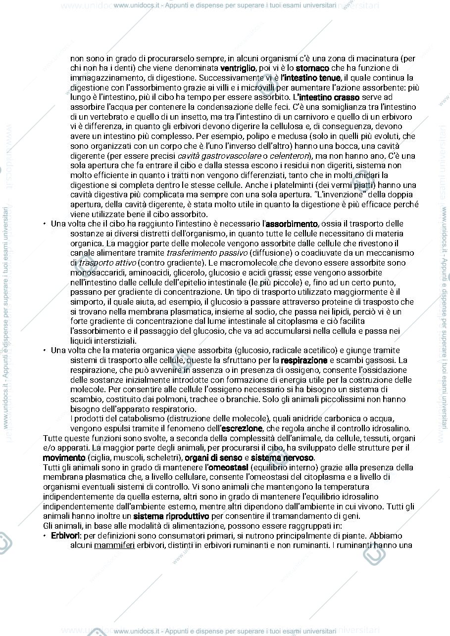 Anteprima pagina 4 — Aggiuntivi - appunti