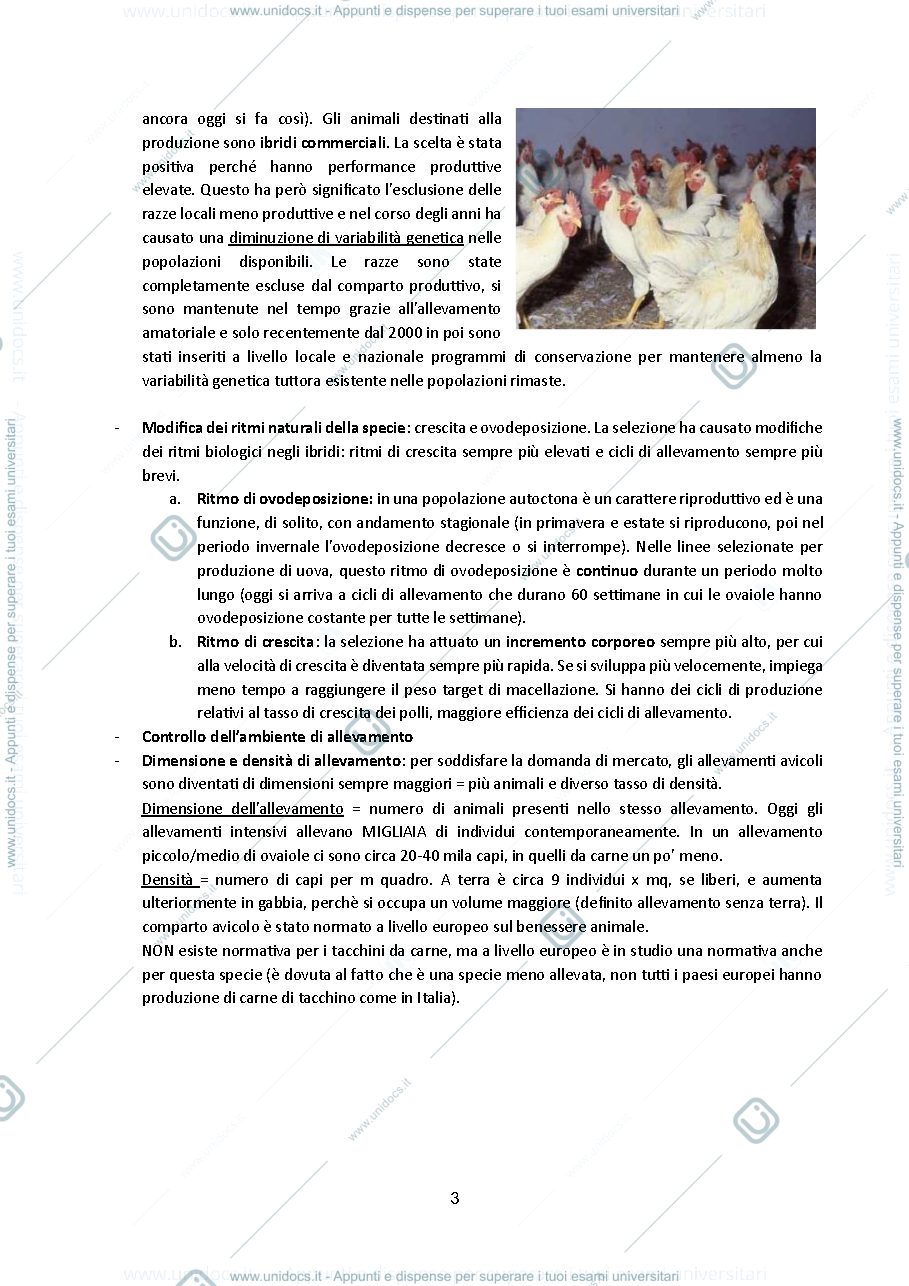 Anteprima pagina 3 — Gestione dell’allevamento degli avicoli e dei cunicoli