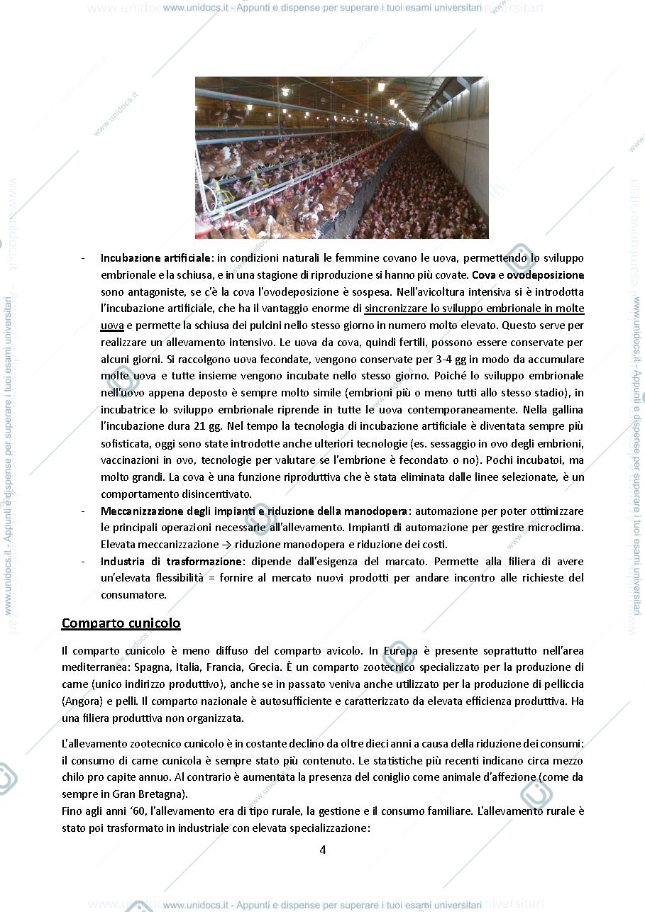 Anteprima pagina 4 — Gestione dell’allevamento degli avicoli e dei cunicoli
