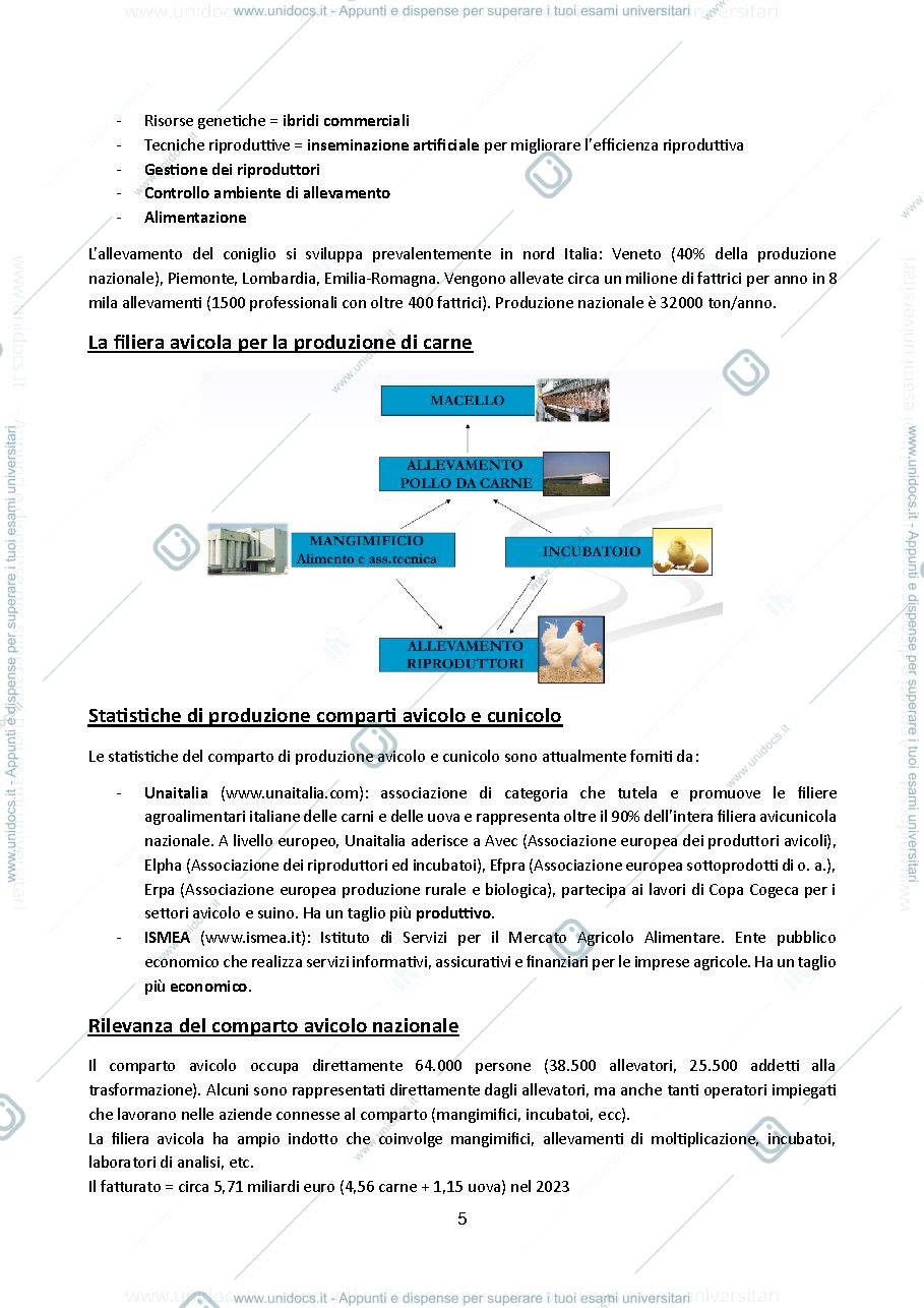 Anteprima pagina 5 — Gestione dell’allevamento degli avicoli e dei cunicoli