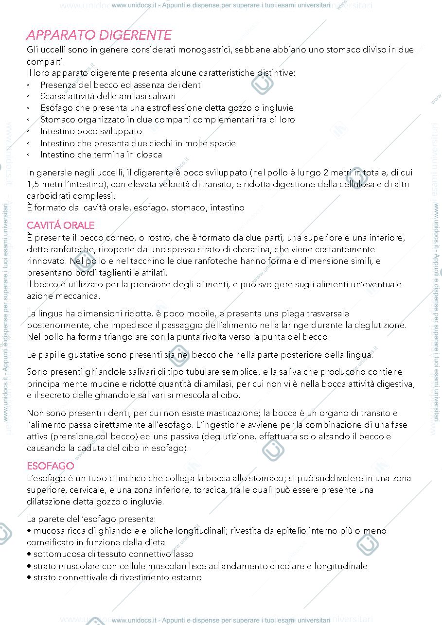 Anteprima pagina 1 — Appunti Zoocolture