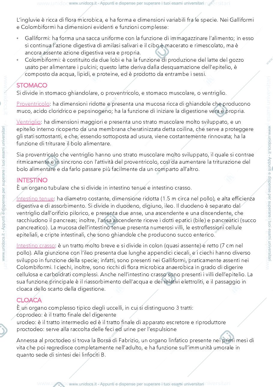Anteprima pagina 2 — Appunti Zoocolture