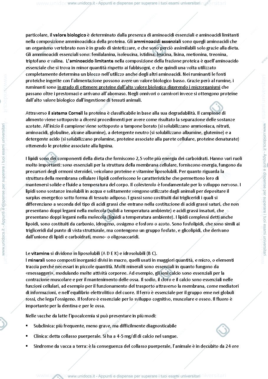 Anteprima pagina 3 — Zootecnia Speciale