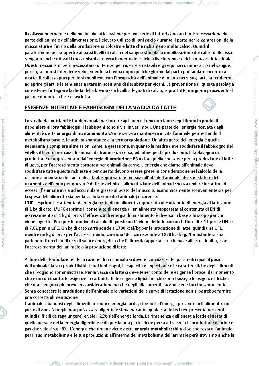 Anteprima pagina 4 — Zootecnia Speciale